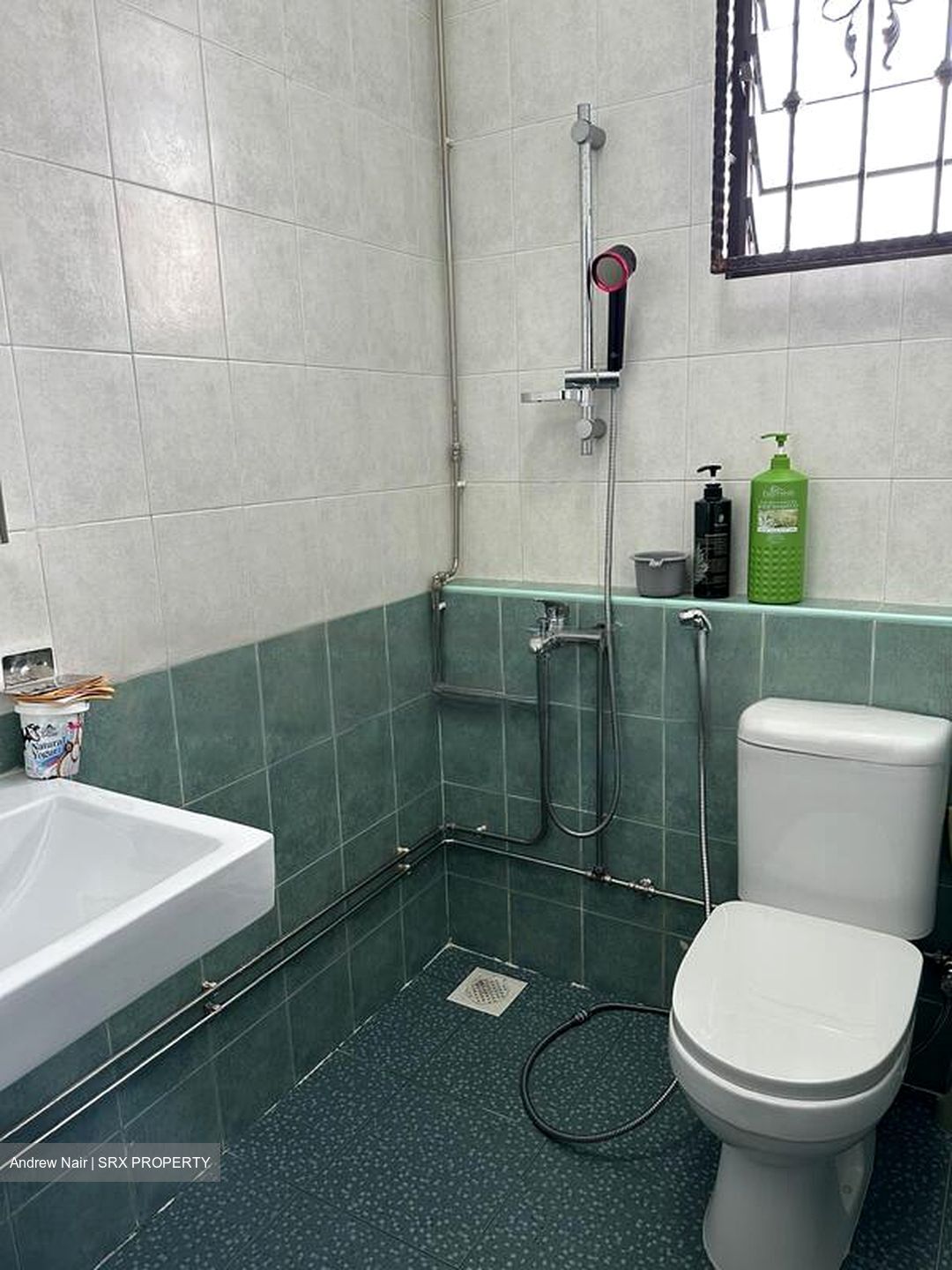 Siew Lim Park (D16), Semi-Detached #471713671